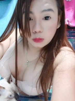 Thai ladyboys for dating / Ladyboys from Philippines for dating