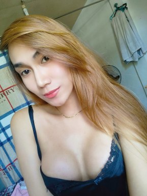 Thai ladyboys for dating / Ladyboys from Philippines for dating