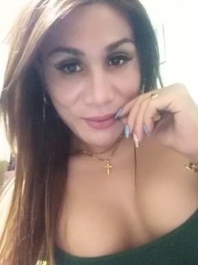 Thai ladyboys for dating / Ladyboys from Philippines for dating