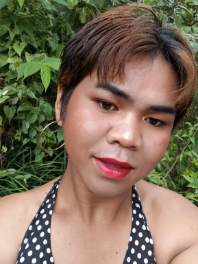 Thai ladyboys for dating / Ladyboys from Philippines for dating