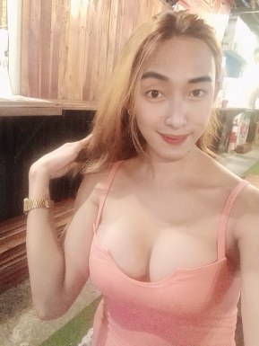 Thai ladyboys for dating / Ladyboys from Philippines for dating