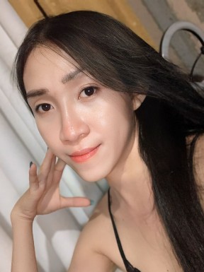 Thai ladyboys for dating / Ladyboys from Philippines for dating