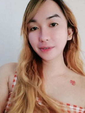 Thai ladyboys for dating / Ladyboys from Philippines for dating