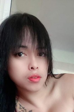 Thai ladyboys for dating / Ladyboys from Philippines for dating