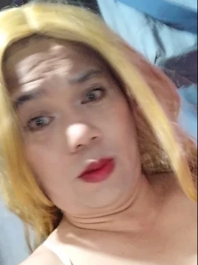 Thai ladyboys for dating / Ladyboys from Philippines for dating