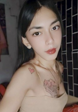 Thai ladyboys for dating / Ladyboys from Philippines for dating